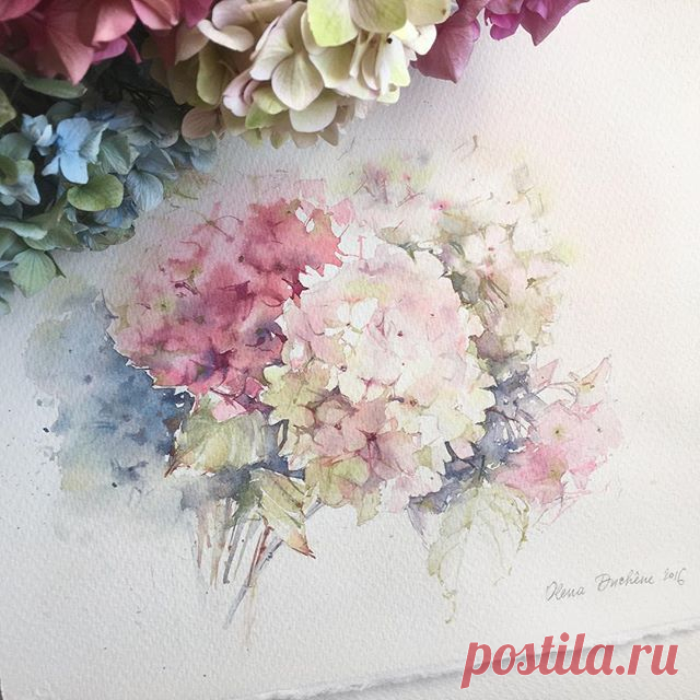 Охапка гортензий...
Этюд. Бумага Saunders WATERFORD Grain Torchon 425g 28x38

#art #artist #watercolor #watercolorpainting #acuarela #aquarelle #aquarell #акварель #этюд #topcreator #instagram #artstagram #process_of_creativity #worldofartists #waterblog #art_we_inspire #art_collective #artcollective #arts_gallery #arts_help #artworks_artist #artfido #art_sanity #skrien #inspiring_watercolors #artoftheday #gydrangea #гортензия  #winsorandnewton #schmincke