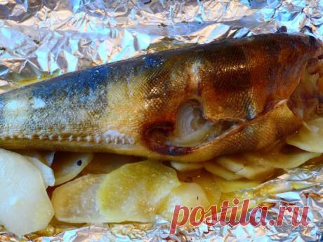 Терпуг, запечённый на картофельной подушке с луком..