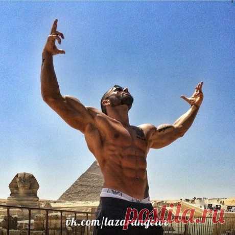 Не волнуйтесь о неудачах, волнуйтесь о шансах, которые вы пропустите, если вы даже никогда не рискнете / Абсолютное здоровье