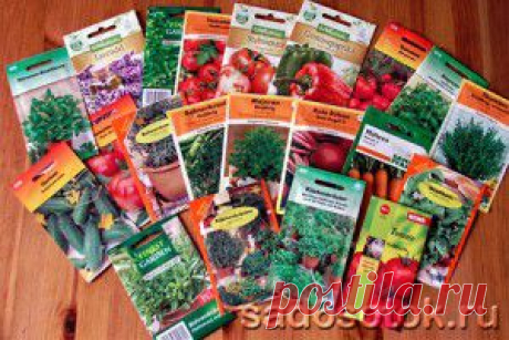 Как долго хранятся семена