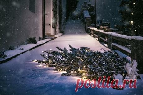 Врач рассказал о способах избежать травм в новогодние праздники. Травматолог-ортопед Рашид Саидов рассказал, что переломы, растяжения и вывихи россияне чаще всего получают на улице. Чтобы избежать травм, он посоветовал ходить в обуви с нескользящей подошвой и без каблука, остерегаться сосулек и соблюдать еще несколько несложных рекомендаций.