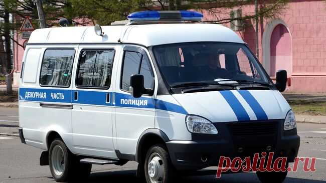 В Ленинградской области задержали угрожавшего игрушечным пистолетом