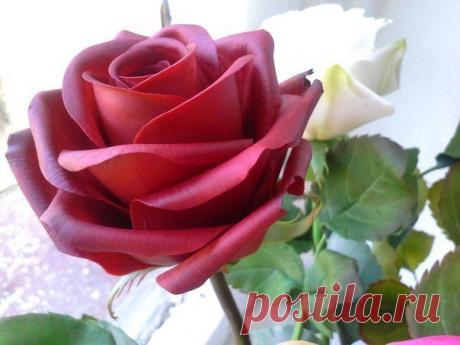 ЛЕДИ-ФЕЯ | Уют. Рукоделие. Декор дома и сада