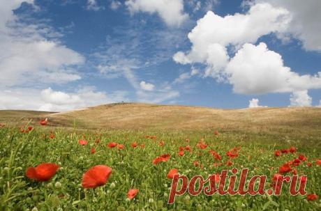 МЕДИТАЦИЯ «ПРЕКРАСНЫЙ МИР ДУШИ». 1 ЧАСТЬ — Планета и человек