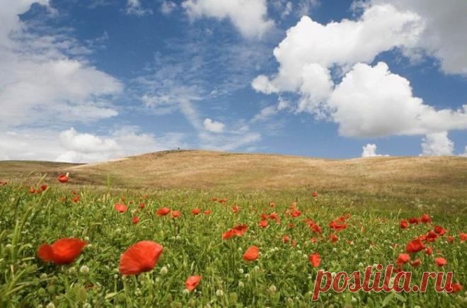 МЕДИТАЦИЯ «ПРЕКРАСНЫЙ МИР ДУШИ». 1 ЧАСТЬ — Планета и человек