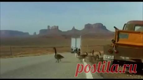 (99) Одноклассники