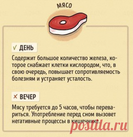 Правильное время для употребления продуктов. На заметку.