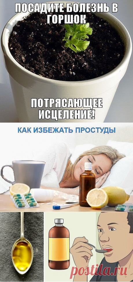 1 непрочитанный чат