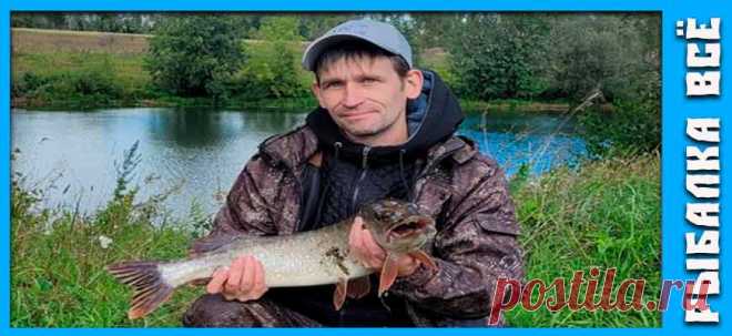 Как поймать щуку на пруду или озере - fishing-all.ru