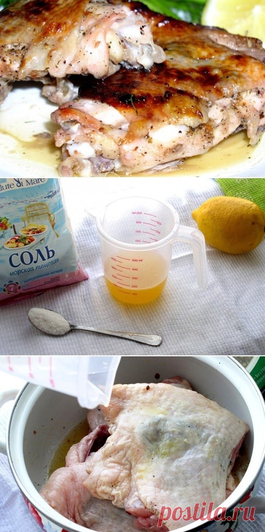 Курочка быстрая — Домашний уют