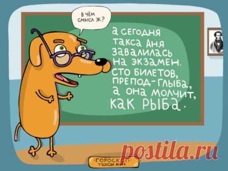 Консультация астролога | гороскоп рождения | гороскоп совместимости партнеров
 www.zvezdnyysvet.com
#консультацияастролога #гороскоп #знакизодиака #астрологическийпрогноз