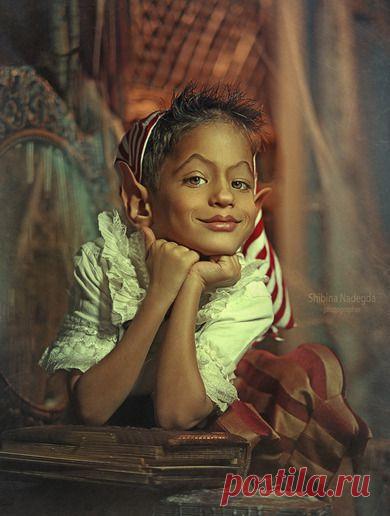 Портреты. Гномик Федя.