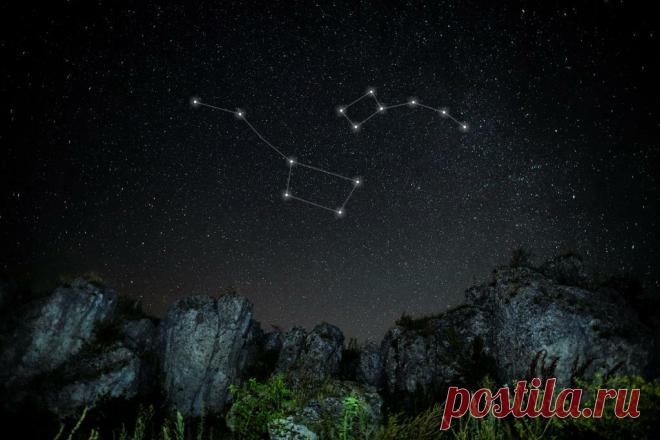 В каком созвездии находится Полярная звезда?