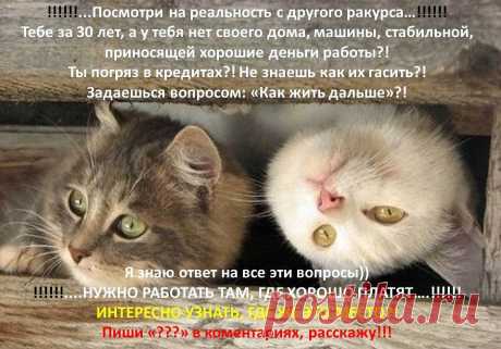 Открыт набор на легальную надомную работу.Требуются сотрудники от 25 лет.Подходят мамочки в декрете, домохозяйки
От Вас ИМЯ и адрес эл.почты