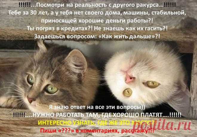 Открыт набор на легальную надомную работу.Требуются сотрудники от 25 лет.Подходят мамочки в декрете, домохозяйки
От Вас ИМЯ и адрес эл.почты