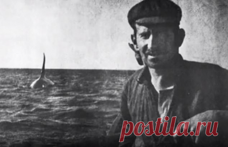 Убийцы из Эдема