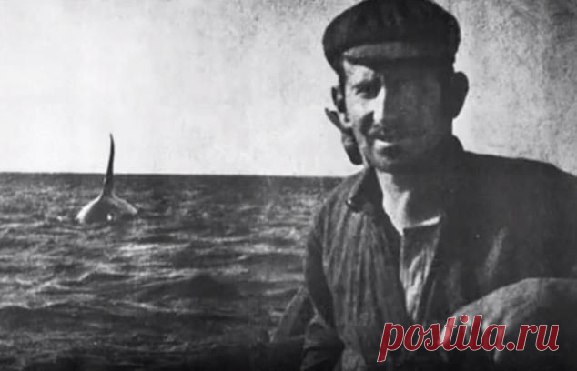 Убийцы из Эдема