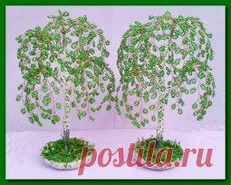 (49) Одноклассники