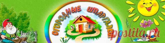 Проволочник. ~ Огородные шпаргалки.