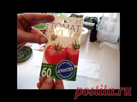 Посев томатов на рассаду/Быстрое проращивание семян без земли/Проверка всхожести семян/сорта томатов