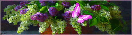 best-covers - 30 фото. Фотографии Татьяна Титова.