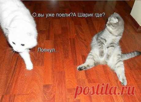 Интересные новости