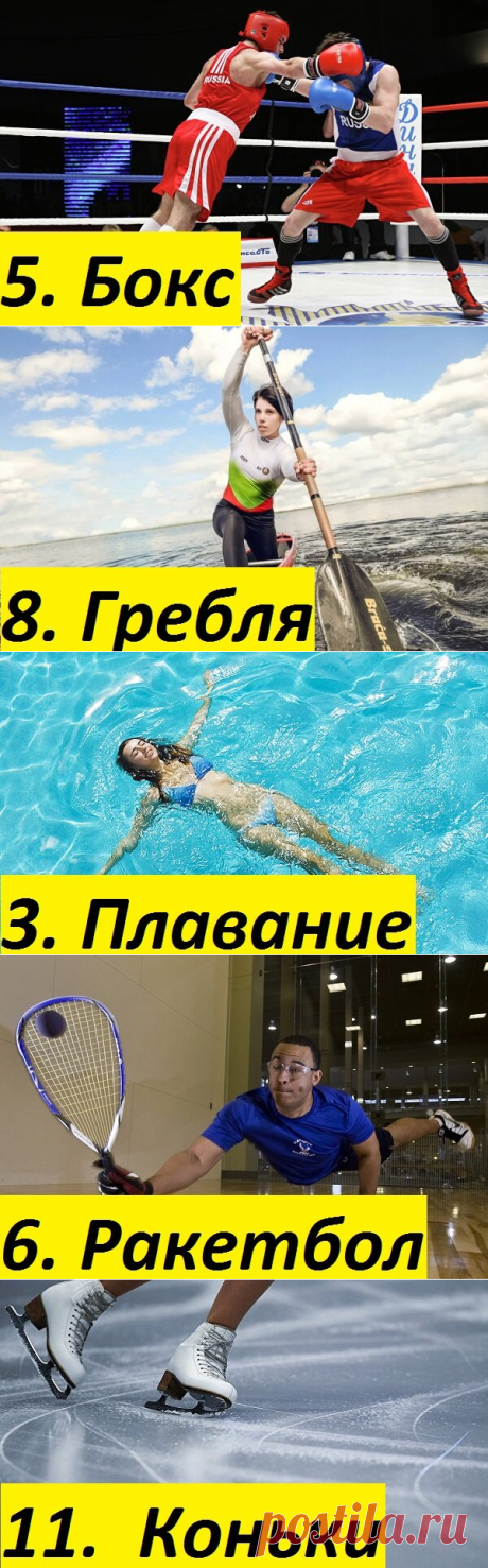 Спортивная активность и сколько калорий вы сжигаете, выбирая те или иные упражнения | ЗДОРОВЬЕ и ДОЛГОЛЕТИЕ | Яндекс Дзен