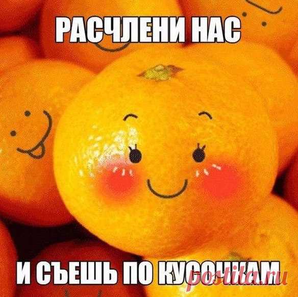 Андрей Андреевич