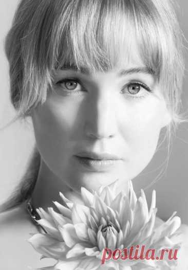 Подборка фотосессий звезд и знаменитостей 15.11.2025