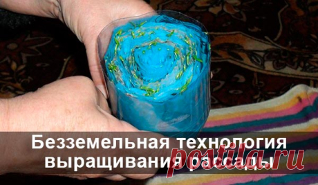 Безземельная технология выращивания рассады Замечательная и простая в исполнении методика. Экономим место, время, семена и, главное, нервы!