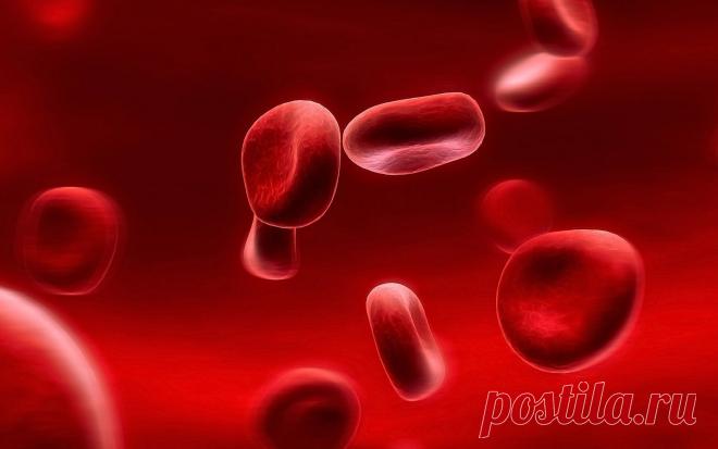 Неинвазивный анализ крови: 
Свёртывающая система Начало свёртывания крови  Конец свёртывания крови  Тромбоциты  Фибриноген Протромбиновый индекс  Гематокрит  
Электролитный обмен  Концентрация Са Концентрация Mg  Концентрация K  Концентрация Na  
Функц.показатели работы желудка pH желудочного сока  SH  Базальное давление сфинктера-Одди  Углеводный обмен  Концентрация молочной кислоты  Концентрация глюкозы  Гликоген