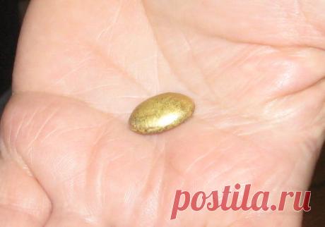 Excavar en busca de oro en casa.