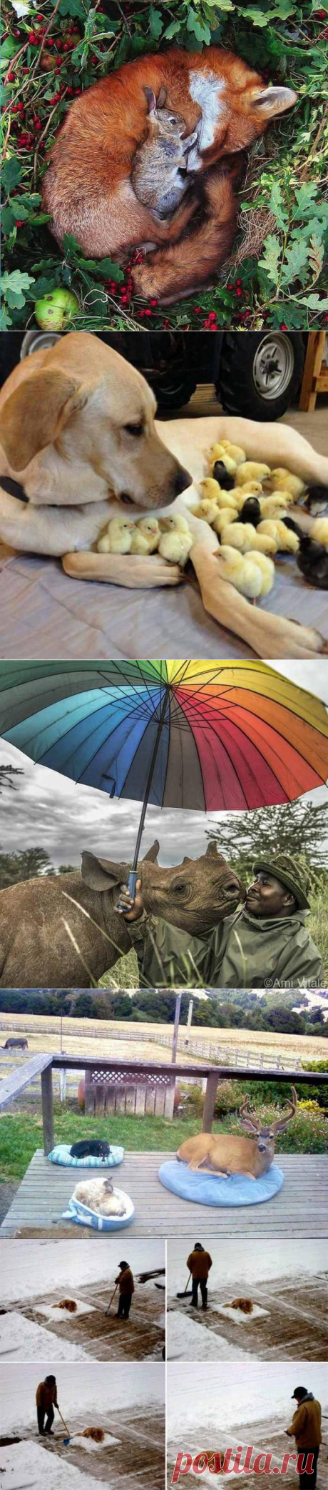 Amorq - Moments Of Life That Will Make You Smile