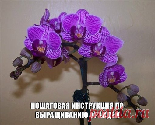 Вам сообщение!