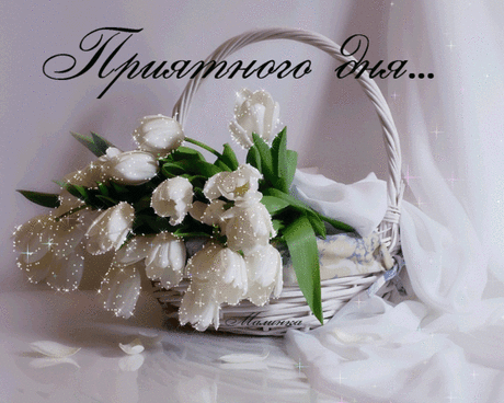 ПРИЯТНОГО ДНЯ, ДРУЗЬЯ!!!
