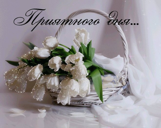 ПРИЯТНОГО ДНЯ, ДРУЗЬЯ!!!