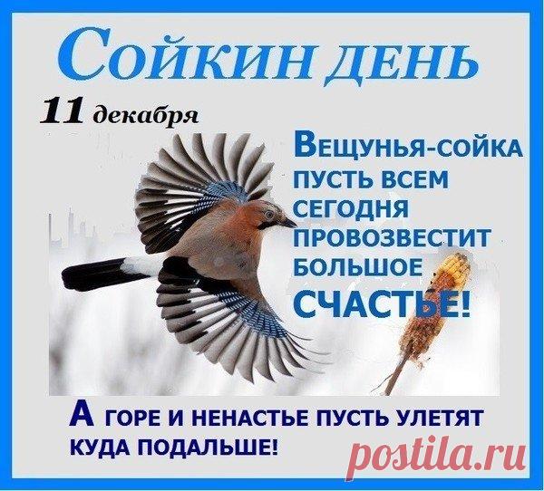 Поздравляем с Сойкиным днем! Пусть ваша забота о птицах принесет вам радость и благополучие. Спасибо, что помогаете лесным жителям! Открытки на Сойкин день!