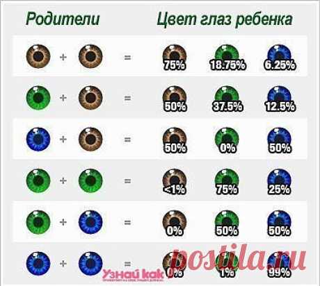 Глаза какого цвета будут у вашего ребенка? | Упрости себе жизнь