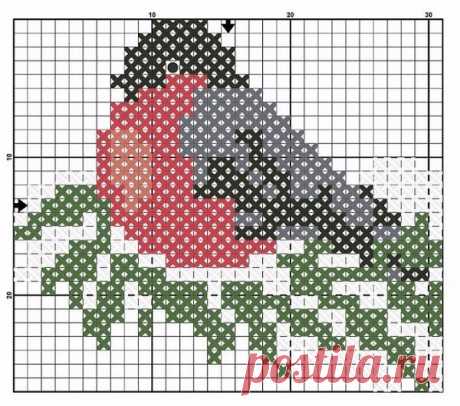 Интересные новости