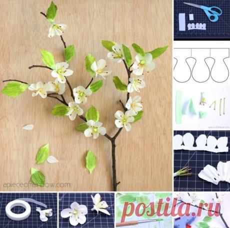(1) Scrappappero scrapbooking hobby shop