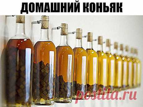 Домашний коньяк — удивите ваших гостей!
Ингредиенты:

Водка — 3 л
Чернослив — 6 шт.
Гвоздика — 10 шт.
Сахар — 100 г
Сухая заварка чая — 2 ст. л.
Ванилин — 1 пакетик

Приготовление:

1. Все ингредиенты — кроме водки — помещаем в банку, потом их заливаем 3-мя литрами водки.
2. Хорошо взбалтываем и ставим банку в тёмное место на трое суток, при этом, каждые сутки опять таки взбалтываем. Не бойтесь, что он сначала помутнеет.
3. Разливаем получившийся коньяк в красивые бутылки ...