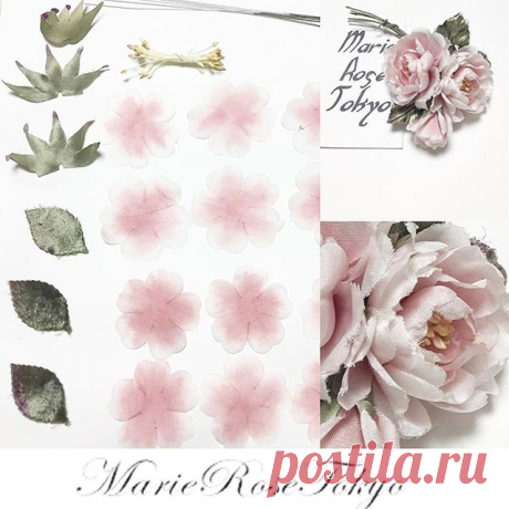 marie_rose_tokyo • View Yoko Asai🌺 ( @marie_rose_tokyo )'s Instagram Account