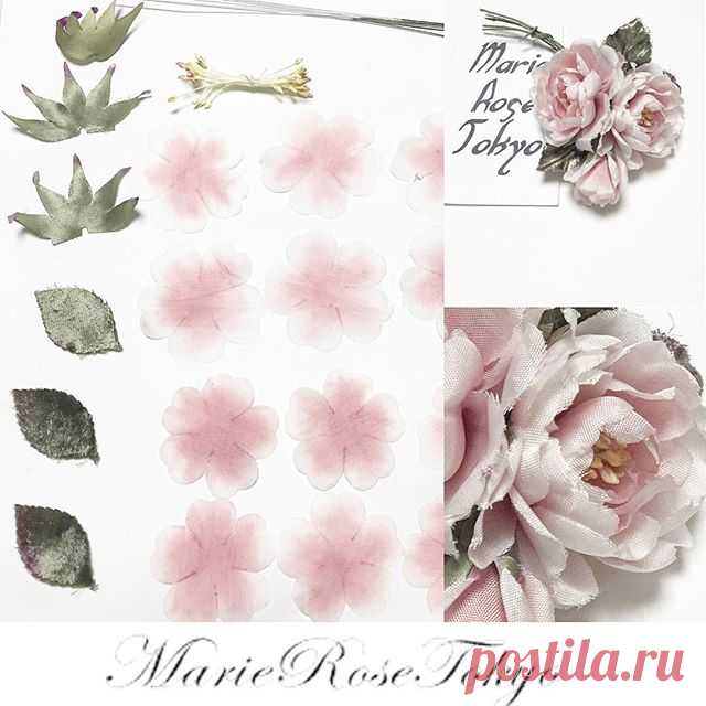 marie_rose_tokyo • View Yoko Asai🌺 ( @marie_rose_tokyo )'s Instagram Account