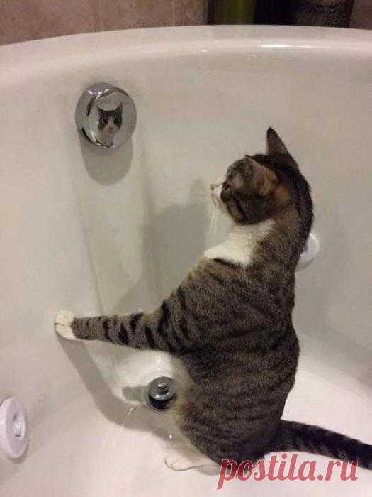 А вы, собственно, кто?
