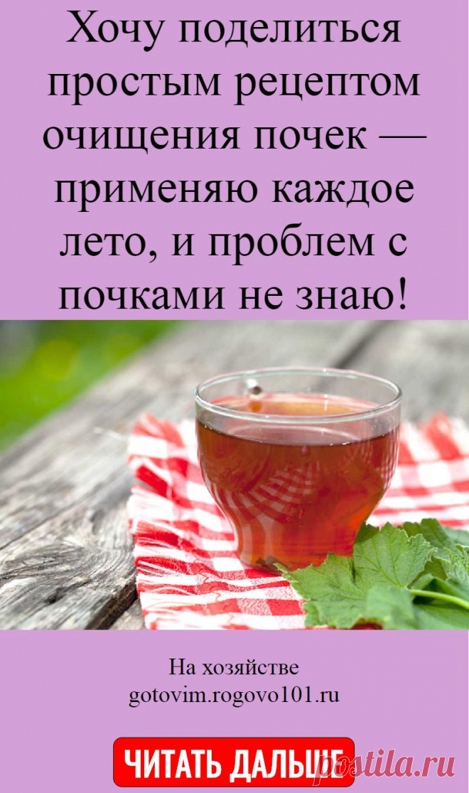 Хочу поделиться простым рецептом очищения почек — применяю каждое лето, и проблем с почками не знаю!