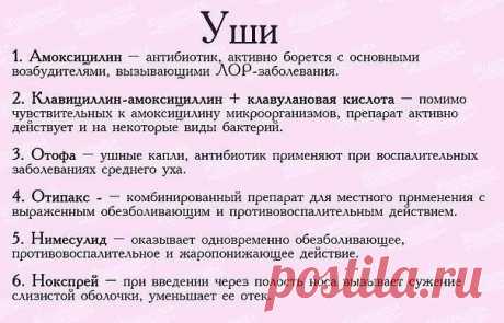 Современная хозяйка