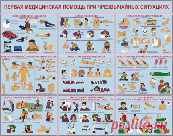 Первая медицинсксая помощь при чрезвычайных ситуациях / Интересное в IT