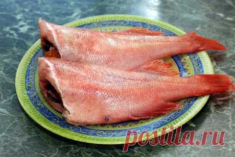 Любители морского окуня страшны в гневе