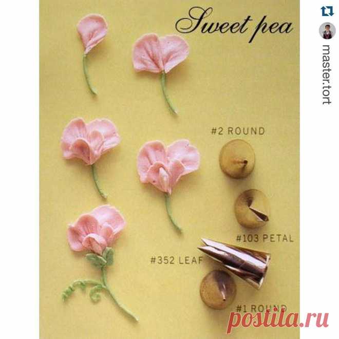 “Tips ✍. #Repost @master.tort with @repostapp. ・・・ Идея для создания цветов из крема! 😊 #сделайсам #кондитер #мастерторт”