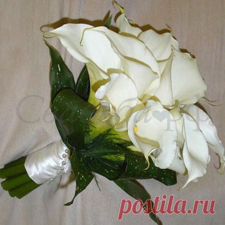 свадебные букеты: 99 тис. зображень знайдено в Яндекс.Зображеннях